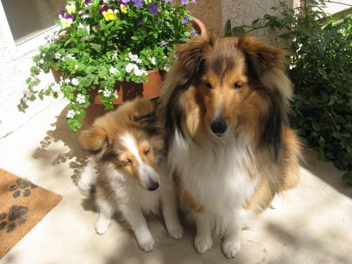 Springtime girls