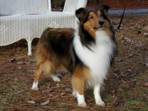 Steven Augustus of Providence Ridge "Steven" at 12 months old