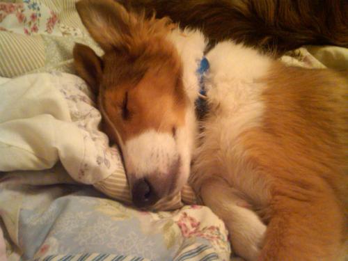 Such a sweet baby!