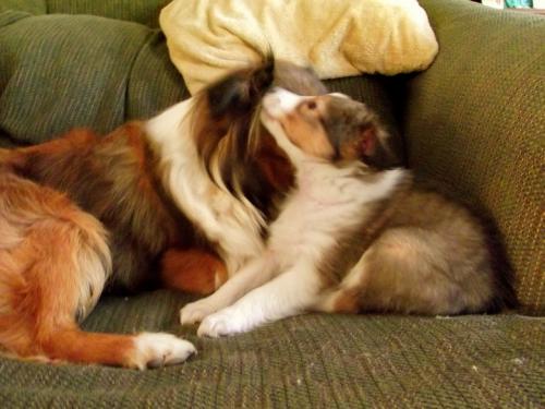 Summer and baby Sadie