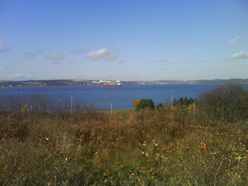 Summer walk to the dogpark, overlooking part of the harbour, the Bedford Basin