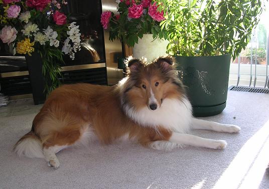 sunbathing