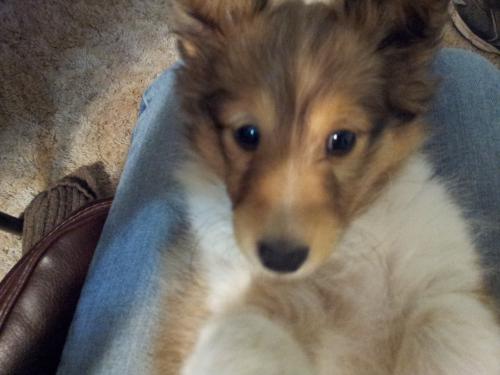 Sweet little Ida