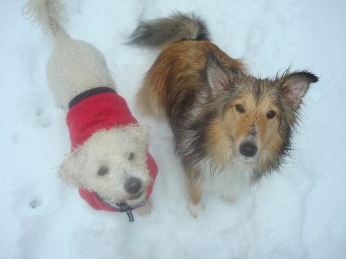 The boys in the snow and sleet