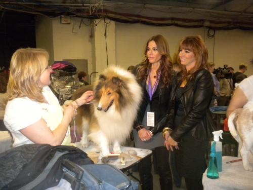 the "housewives" were being filmed