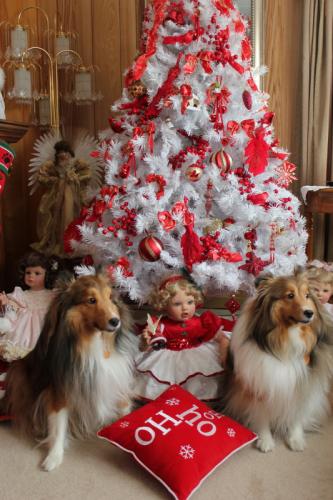 the living room tree