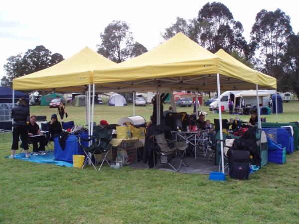 The team tent - first thing in the morning.  By lunchtime in the rain it was mayhem trying to squeeze 25 dogs and 30 people.