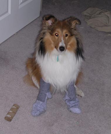 "These are not my socks!"