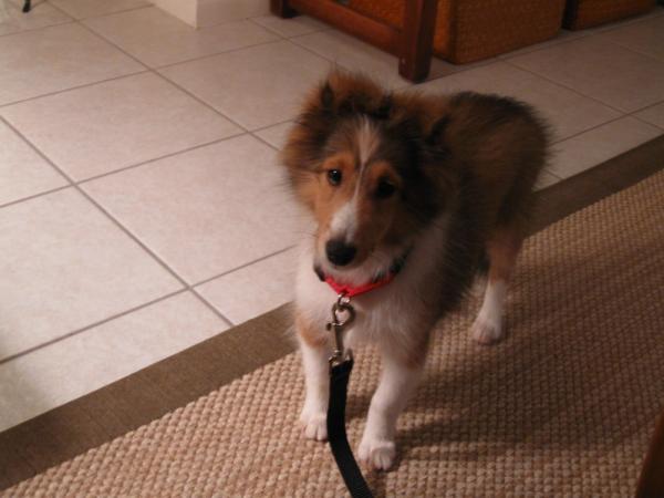 This is the day after I brought her home -15 wks