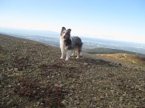 This shot was taken on the hike up to Flat-Top Mountain, overlooking Anchorage.