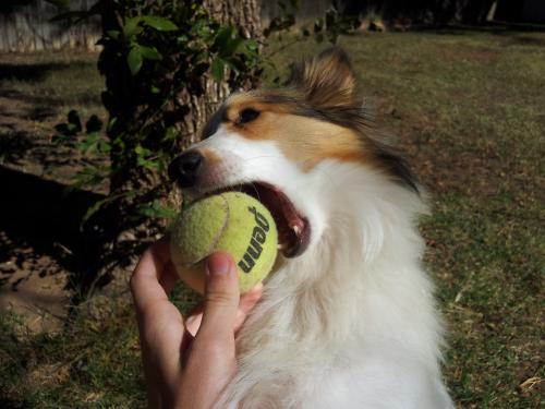 Time to play ball!!!
