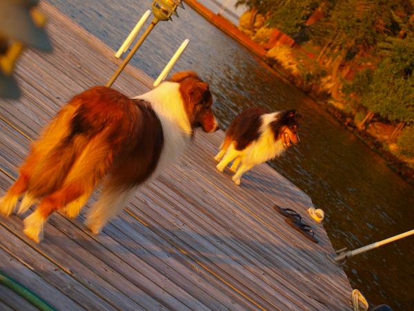 Too many drinks on the dock when Mom took this picture....nobody standing straight!    :-)