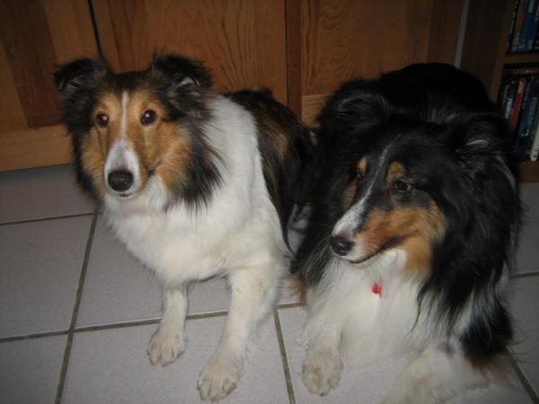 Tru&Kendall2