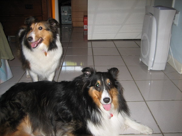 Tru&Kendall3