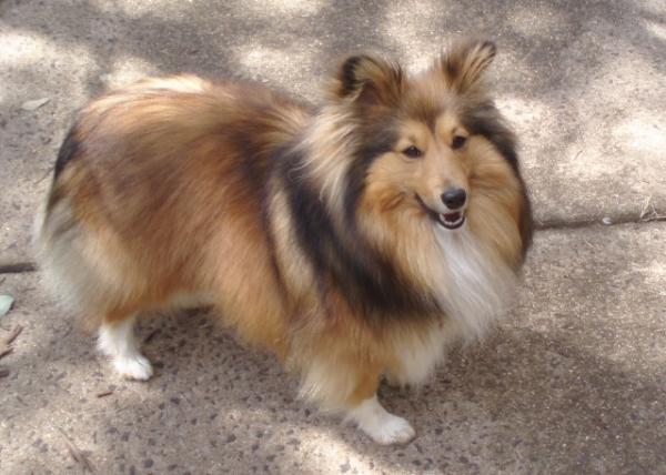 Tully 2 1/2 years