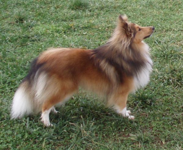 Tully at 12 months