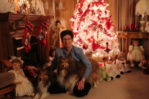 Two Shelties and mommy