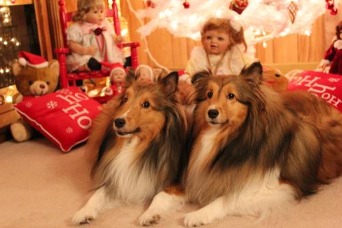 Waiting for Santa