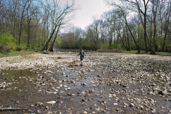 walking2