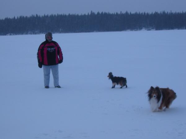 walky 004