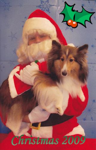 Well, not as anxious to see Santa this year.  You can tell by the ears being slightly off to the side.  She doesn't like people with hats on, ever, so