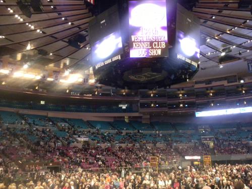 What a crowd!