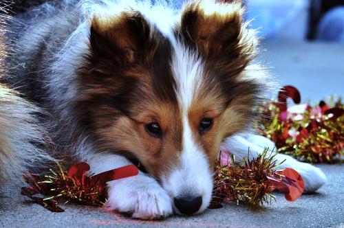 What a sweet baby face.