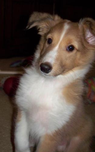 What toys? I hardly have any toys?