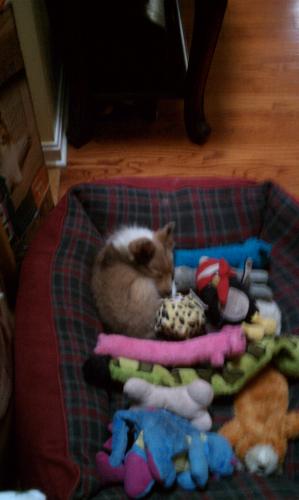 Where's Waldo?