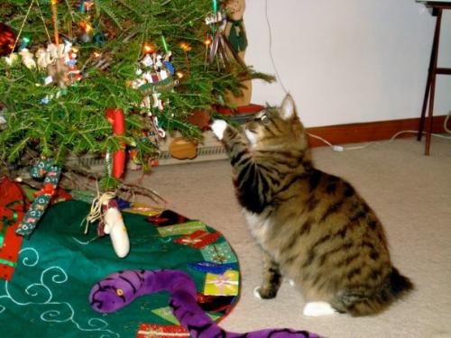WhiskersChristmas
