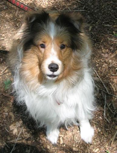 Who could not love this face?!?