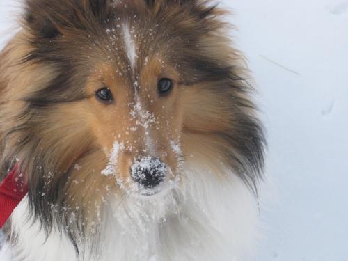 Why do I have all this white stuff on my nose?