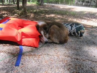 worn out and ready to go home