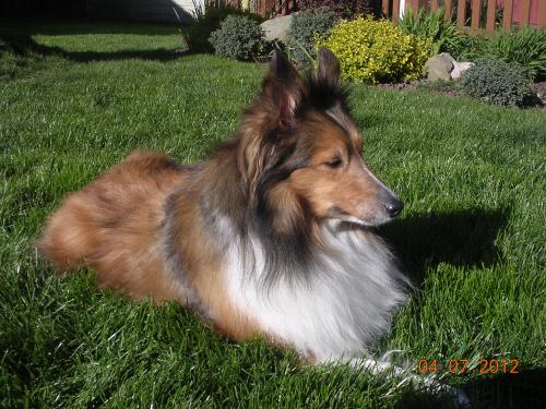 Wow...feels so good to be cleaned and brushed.