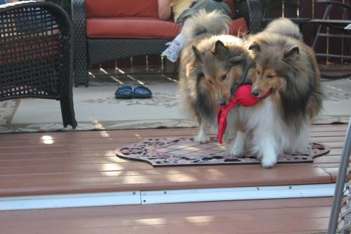 wubba play