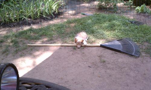 Yard work is exhausting!