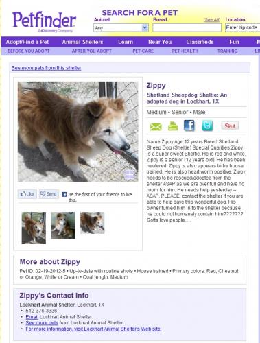 zip on petfinder when we all first saw him. He was at Lockhart (a kill shelter) and not in rescue yet.