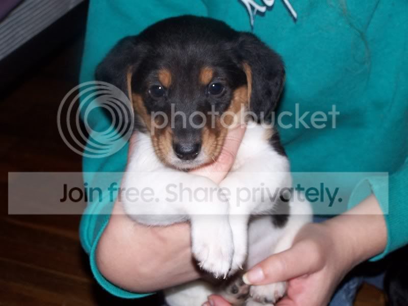 FosterSheagles003.jpg