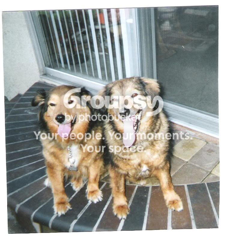 maxandsimba10.jpg