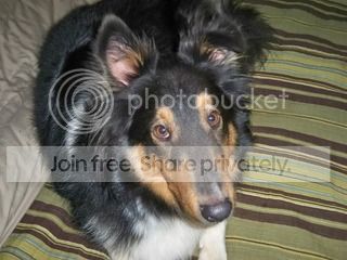 Copyof100_0440.jpg