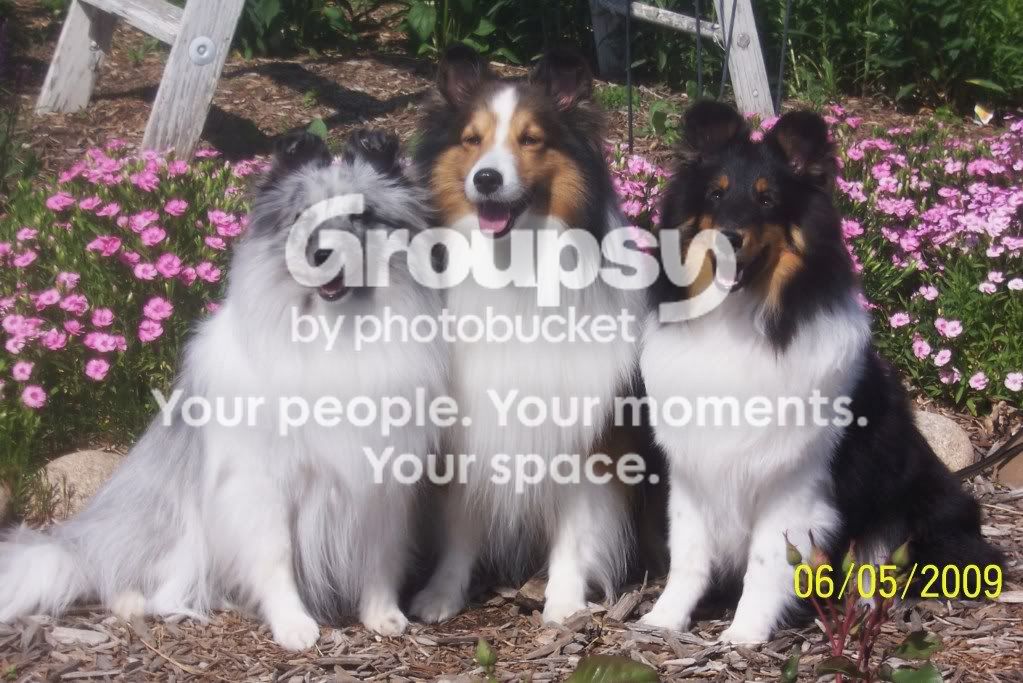 trio.jpg