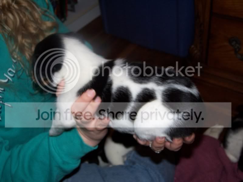FosterSheagles010.jpg