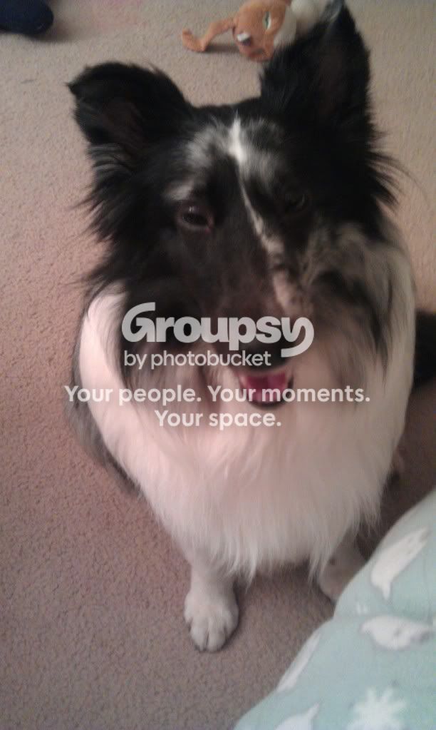 IMAG0036.jpg