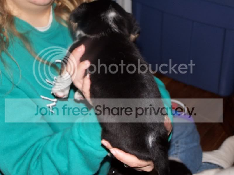 FosterSheagles008.jpg