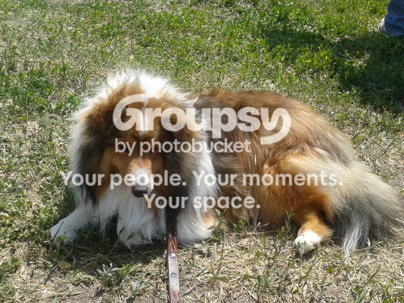 June3_zpsd7a98bfc.jpg
