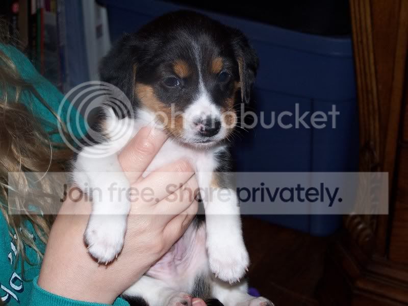 FosterSheagles007.jpg
