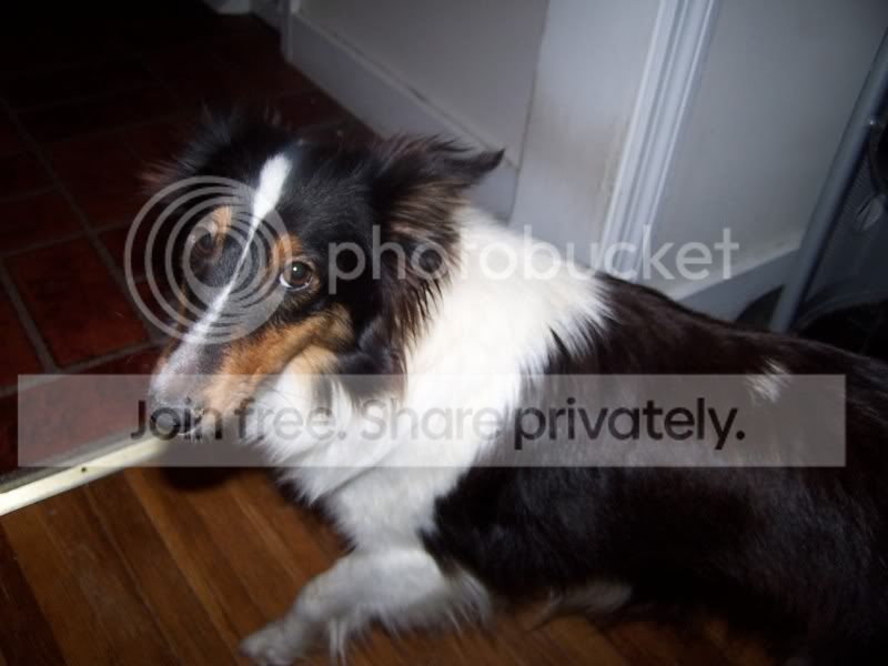 FosterSheagles001.jpg