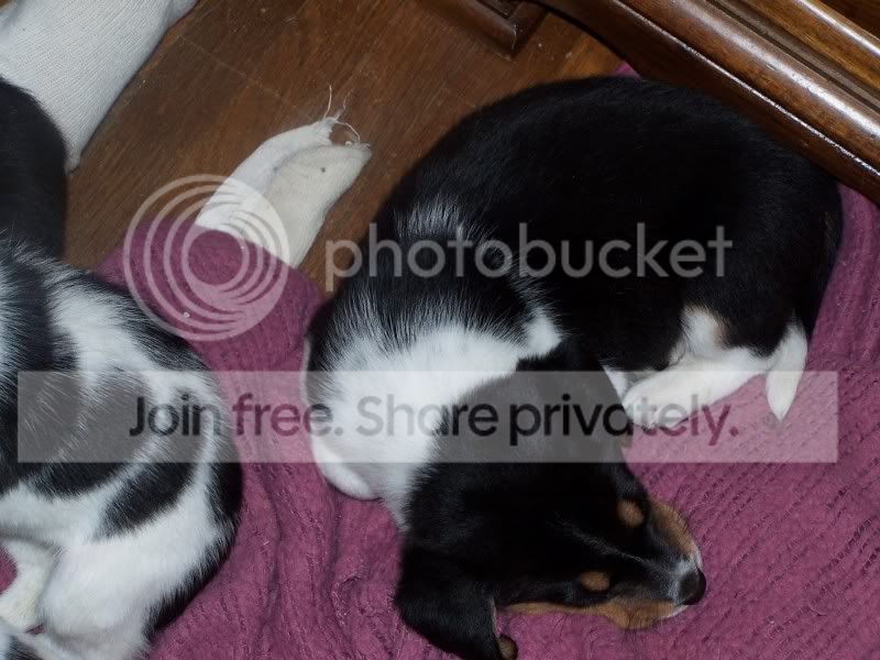 FosterSheagles006.jpg