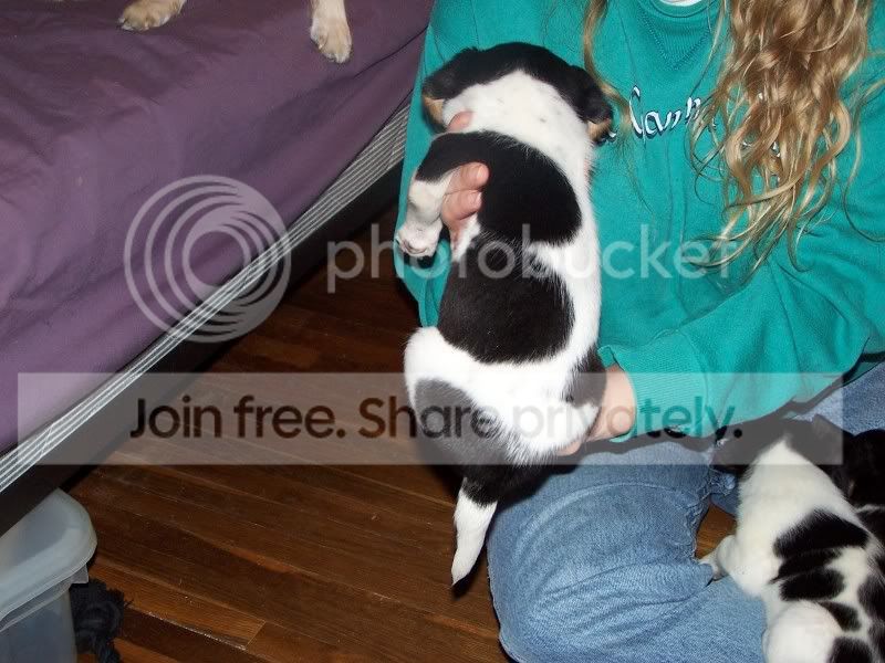 FosterSheagles004.jpg