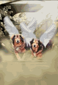 l_a1fa389b644f9941a85561baea702880.gif